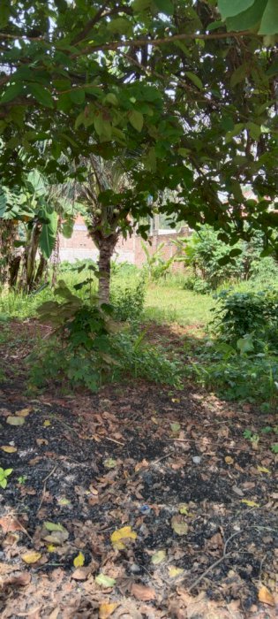 Tanah di jual cepat di dekat rumah sakit airan raya