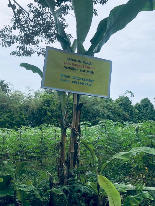 Dijual tanah di daerah Parung Kuda  Sukabumi