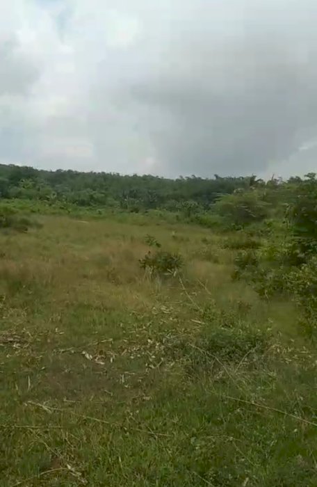 Lahan Zona Perumahan Cisauk Serpong Tangerang