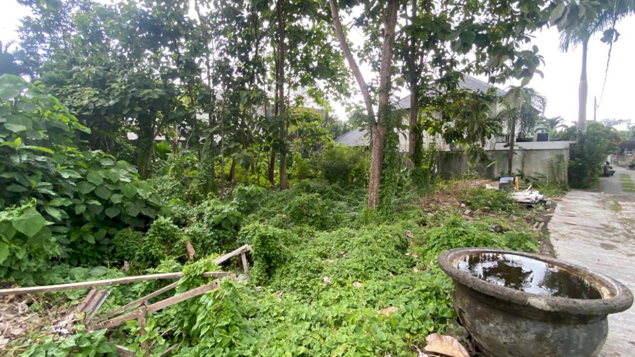Tanah Premium Lokasi Dekat Pantai Berawa Canggu Bali