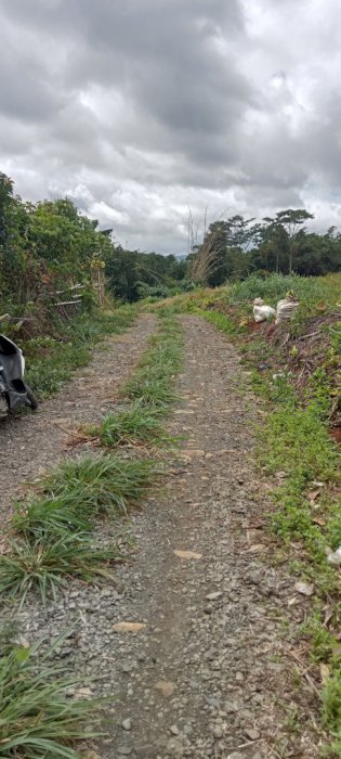 Yu sobat peminat mungpung lg ada lokasi yg sangat bagus