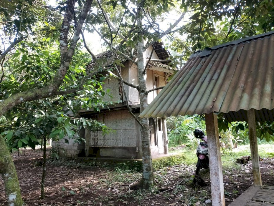 Di Jual Tanah Lokasi Narmada / Sesaot LT. 40 Are