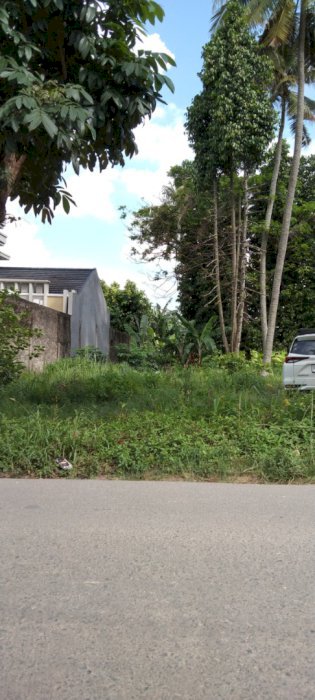 Tanah di Jual Cepat Di Jalan Pulau Nias