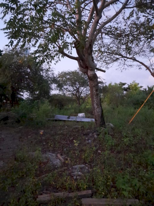 Di Jual Murah Tanah Lokasi Strategis Di Nusa Dua Bali