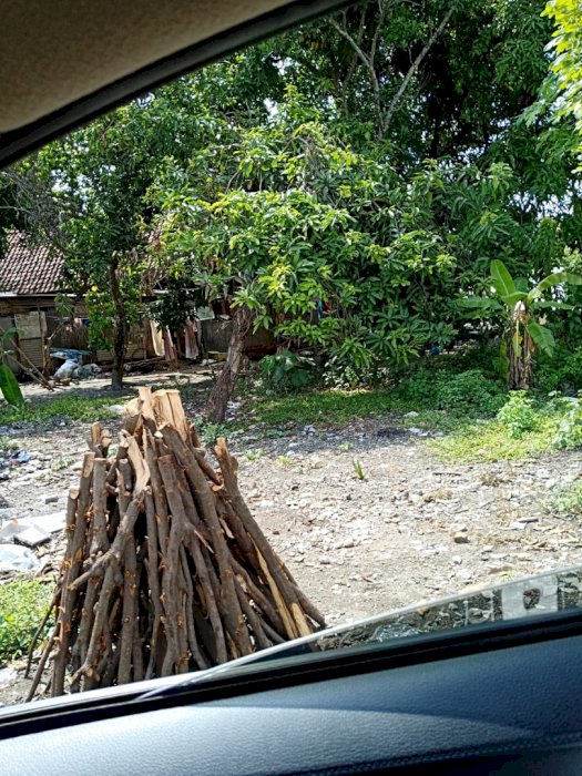 Di Jual Tanah Murah Strategis Di Desa Padangan Mojokerto