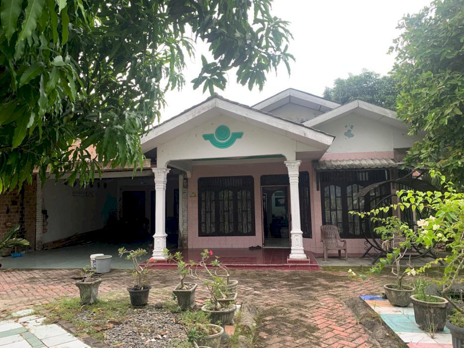 gallery cover