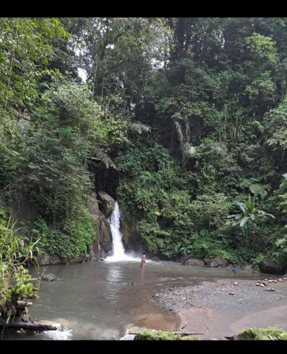 Dijual tanah Payangan Ubud bali