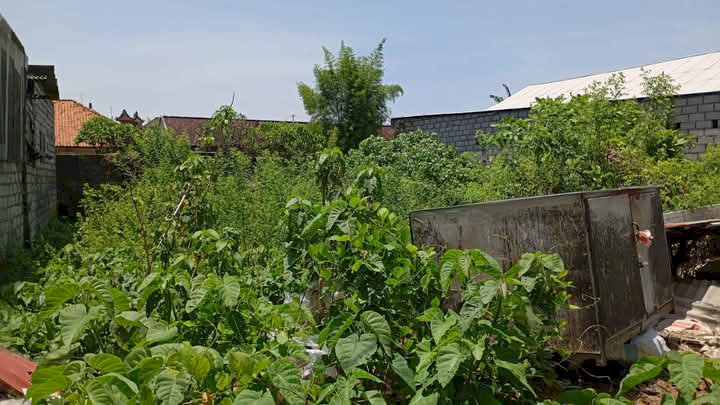 Leasehold jalan palapa sesetan