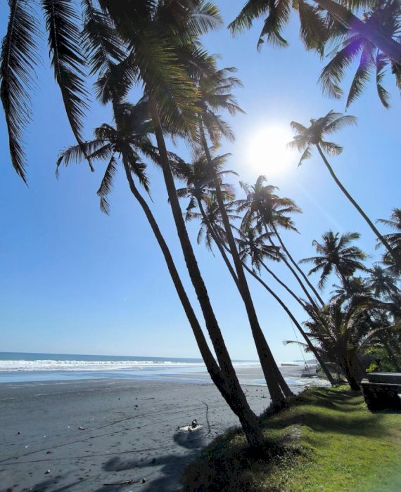 Di Sewakan Tanah Los Pantai Sawang Tabanan Bali