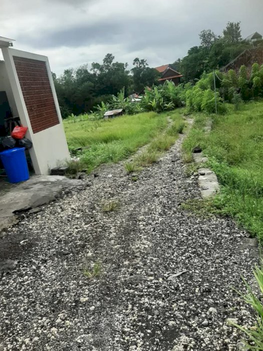 Land for lease pererenan canggu