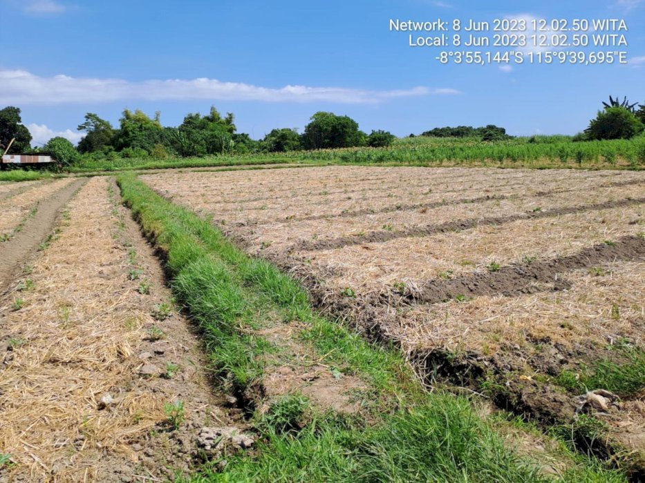 Jual Tanah Los Pantai Bungkulan Buleleng Bali