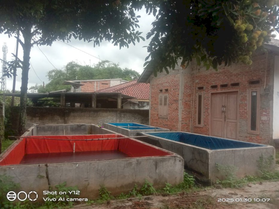 Dijual rumah beserta tanah lokasi strategis di gunung sindur bogor