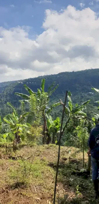Tanah view bukit dan lembah Desa Munduk