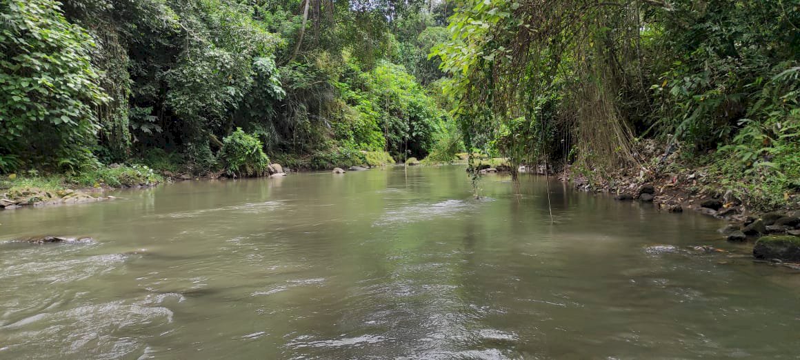 For sale lahan kosong Ubud bali