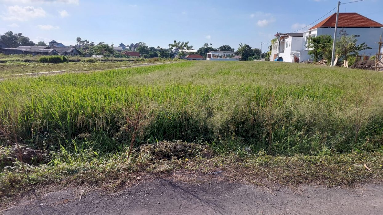 Di Sewakan Tanah Komersial Strategis Di Kedampang Kerobokan