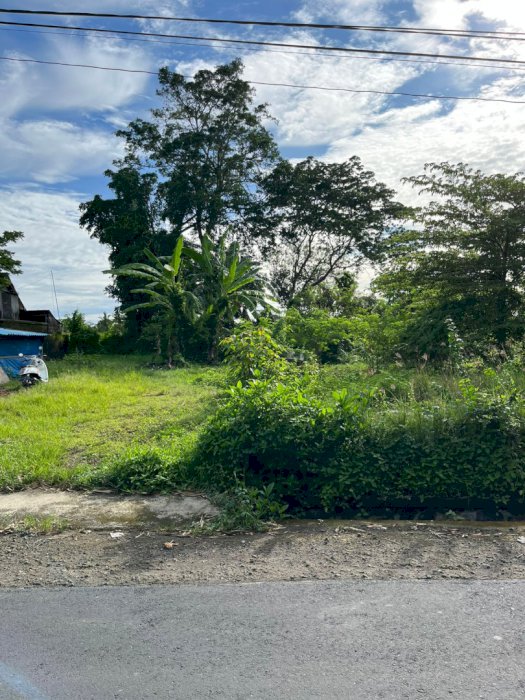 Di Sewakan Tanah Strategis Dekat Tanah Lot DaN Kedungu Bali