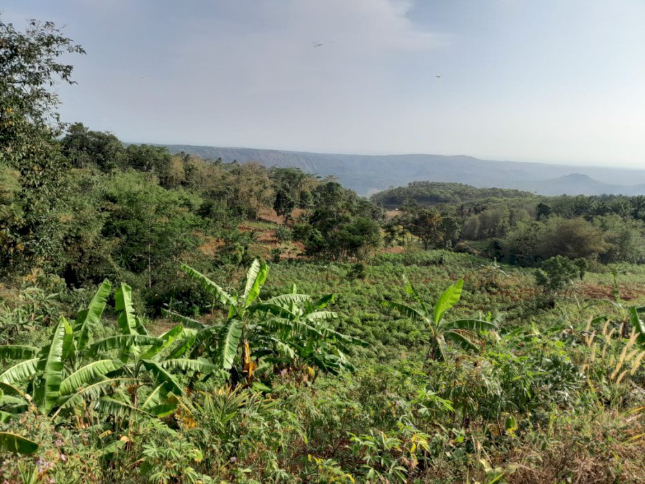 Lahan Investasi Kawasan GeoPark Ciletuh