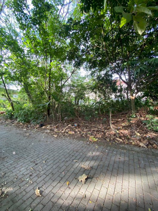 Dijual Tanah Maguwoharjo 500m ke selatan dari ringroad utara