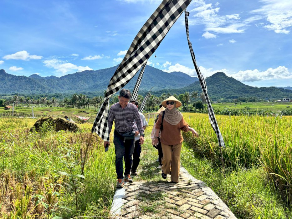 JUAL KAVLING SAWAH PRODUKTIF MURAH SHM FREE GAZEBO