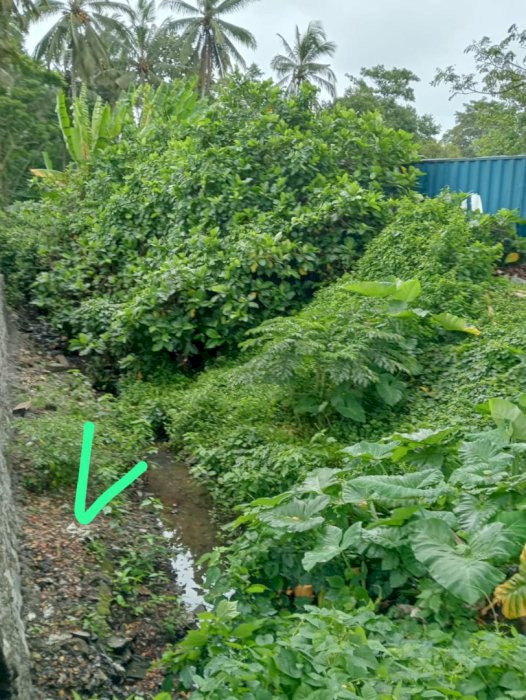 JUAL TANAH  JL UTAMA TABANN, CCK UTK INDUSTRI,74 ARE, RP 275 JT/ARE