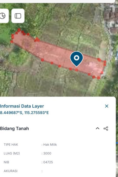 UBUD JLN CINTA VIEW SAWAH DAM GUNUNG luas 49,10are Tp 475jt/are