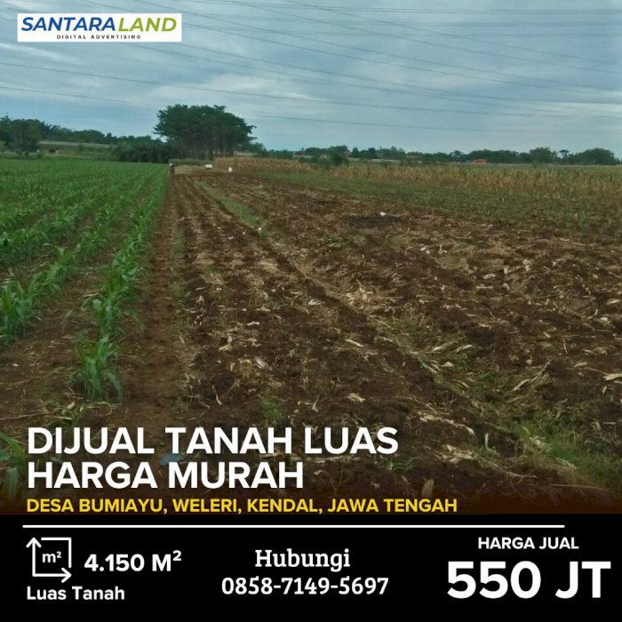 DIJUAL TANAH LUAS HARGA MURAH