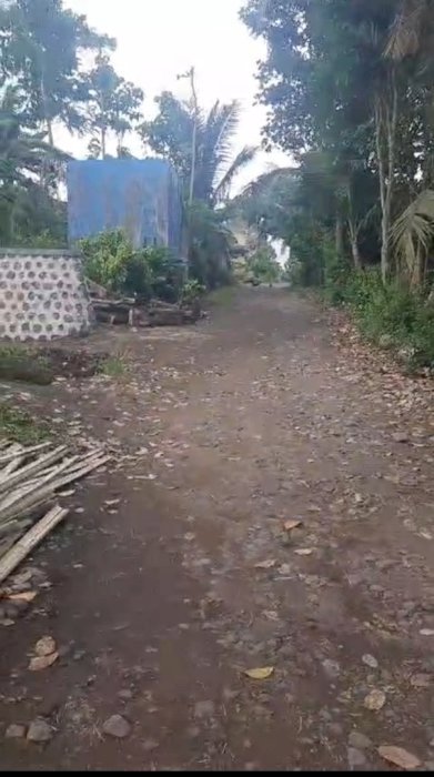 Di Jual Tanah Murah Pinggir Jalan Jambesari Giri Banyuwangi