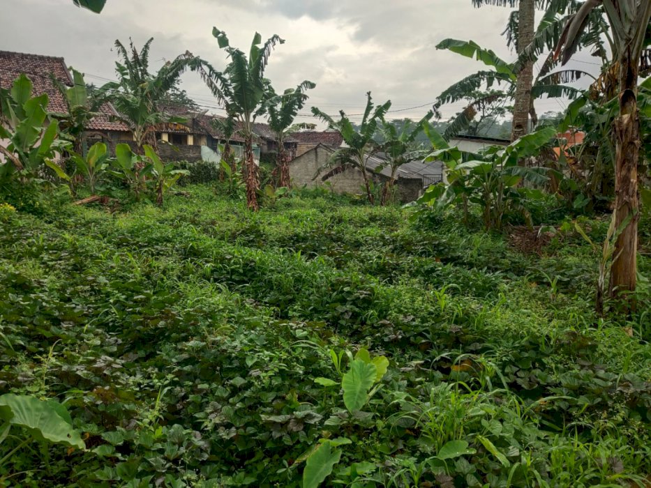 Di jual Tanah SHM Lokasi Strategis Di Cicurug Sukabumi