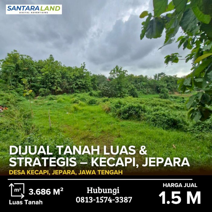 DIJUAL TANAH LUAS & STRATEGIS – KECAPI, JEPARA