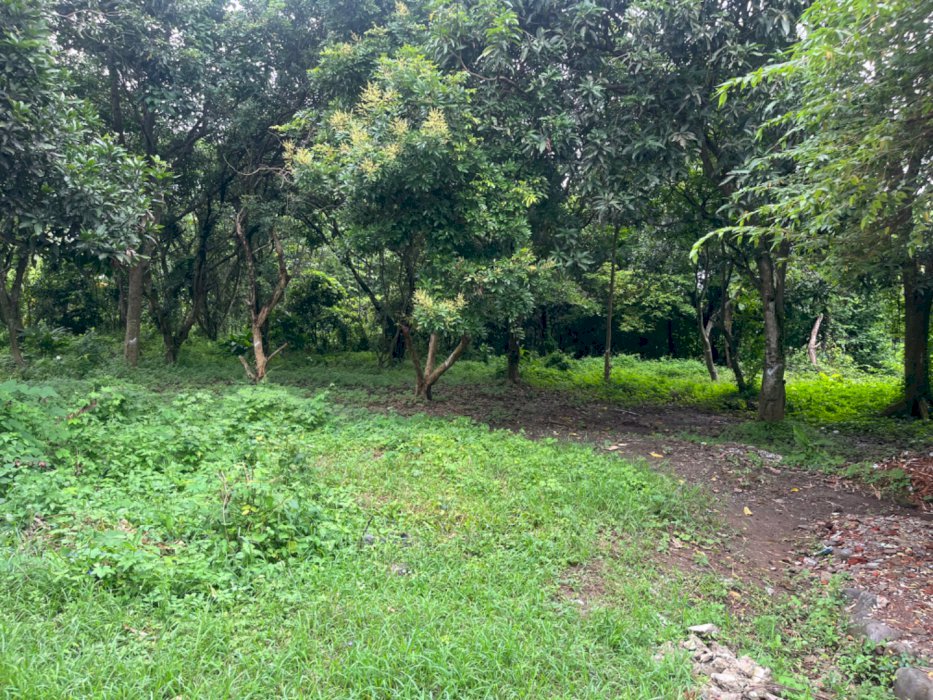 Dijual Tanah Harga Murah Lokasi Slawi, Kab. Tegal