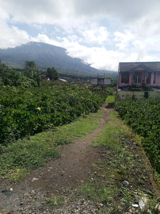 Tanah Kota Wisata Batu View Pegunungan  Buat Runah