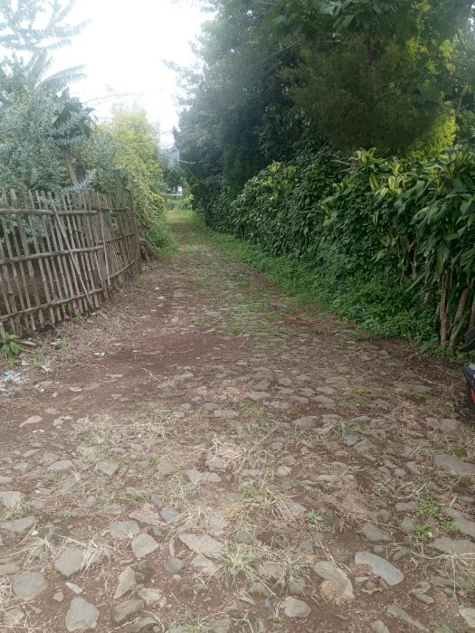 Tanah pekarangan Kota Wisata Batu