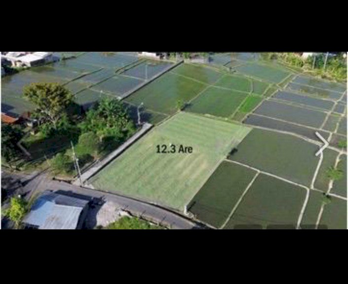 SEWAKAN TANAH 12 ARE DI BUDUK HRGA RP 12 JUTA/ARE/THUN