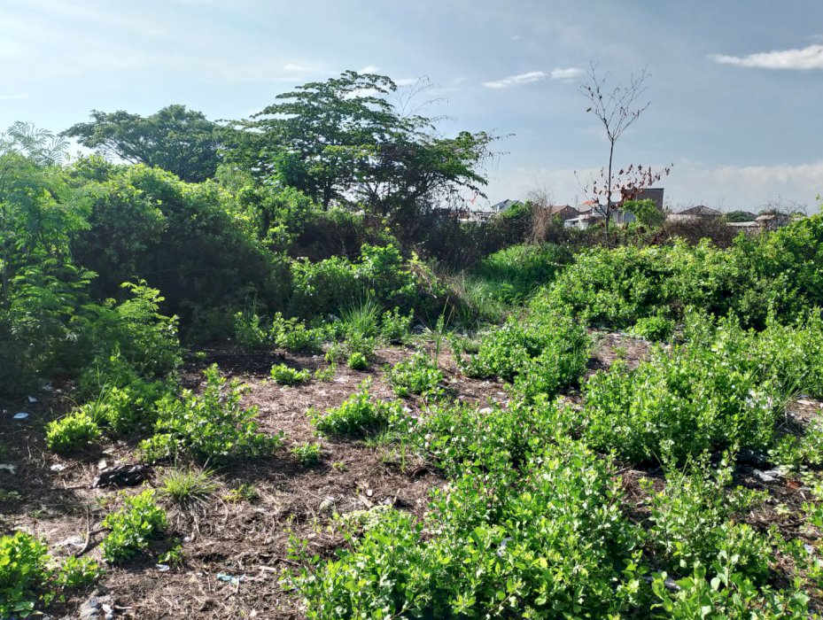 di jual tanah murah lokasi kota cirebon