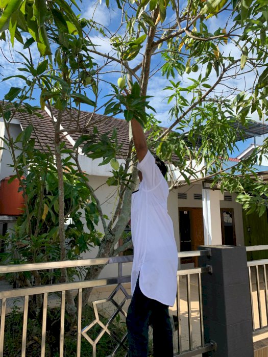 Dijual rumah 2 LT 3 KM 4 KT Lokasi Strategis Jl. A Yani 2