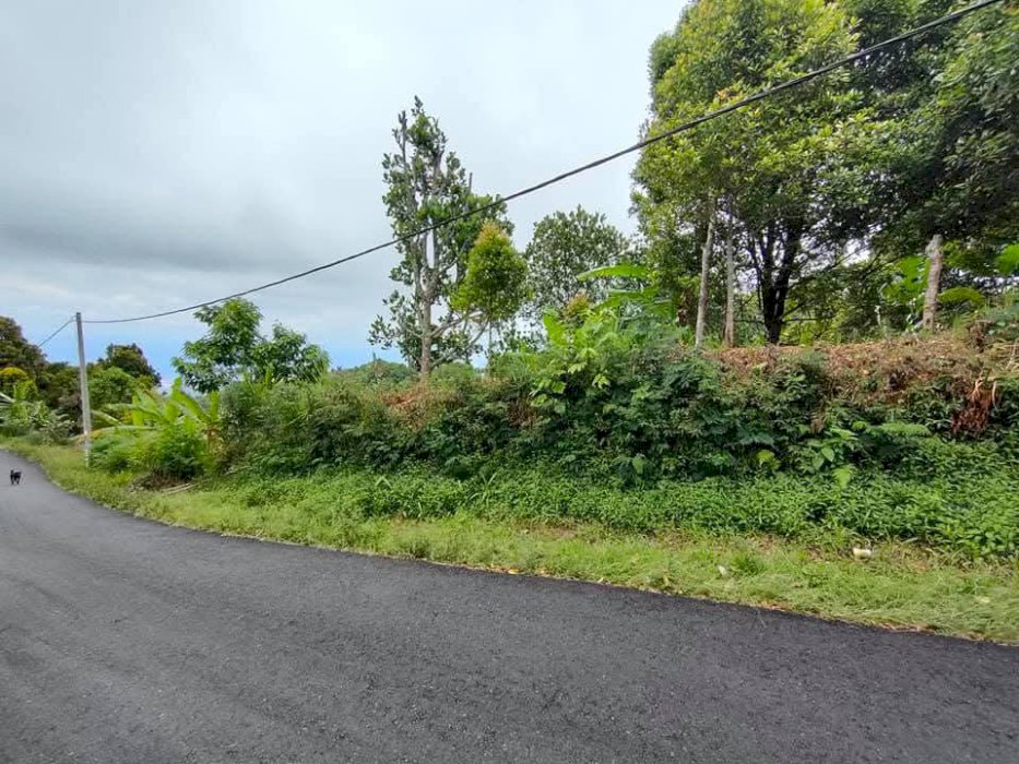 Di Jual Tanah View Buleleng Bali