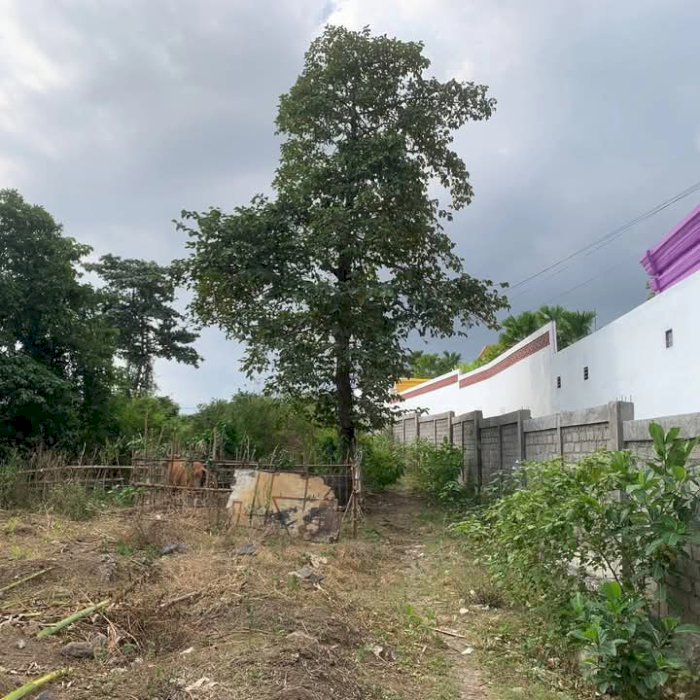 Di Jual Tanah Area Umalas Kerobokan Bali