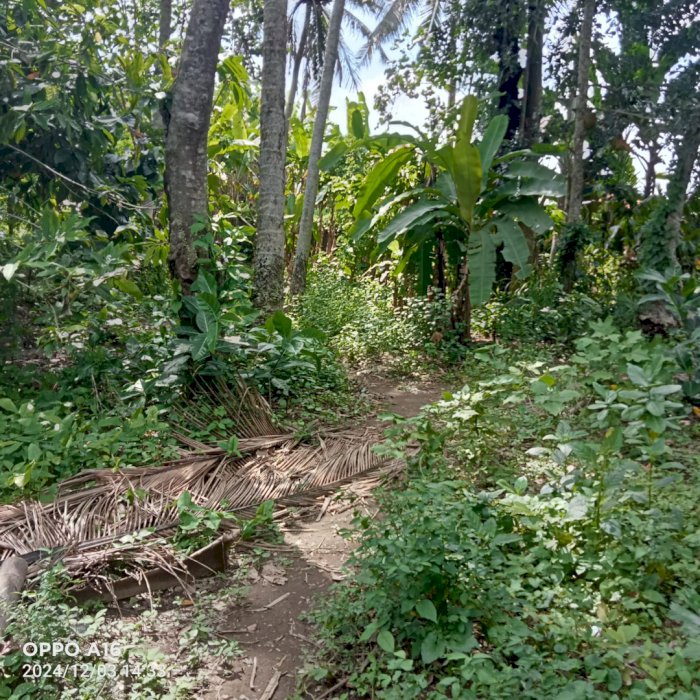 Jual tanah strategis untuk investasi jangka panjang di Ubud, Bali