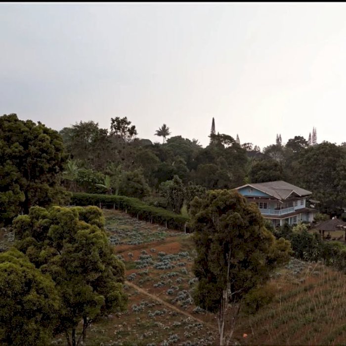 Dijual tanah khas puncak, pegunungan serta udara sejuk di Puncak Bogor