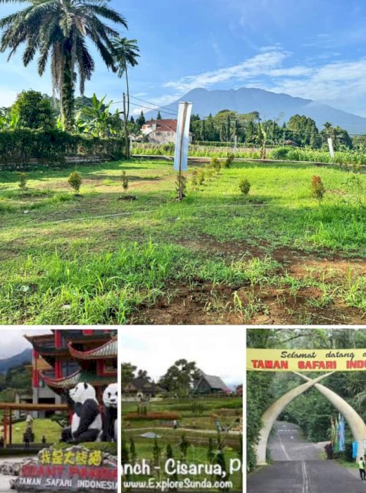 Jual kavling siap bangun di Cisarua Puncak Bogor