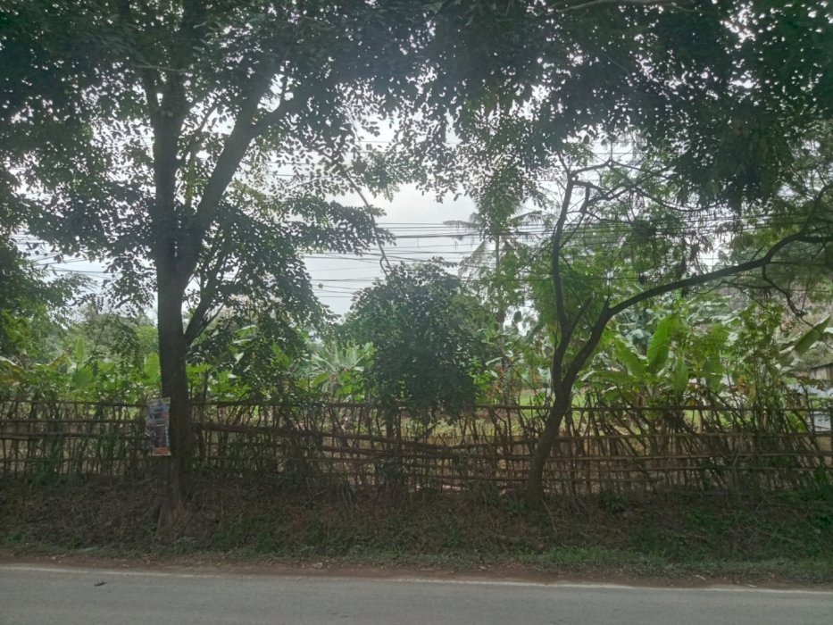 Di Jual Tanah Murah Dan Strategis Di Tirtayasa Bandar Lampung