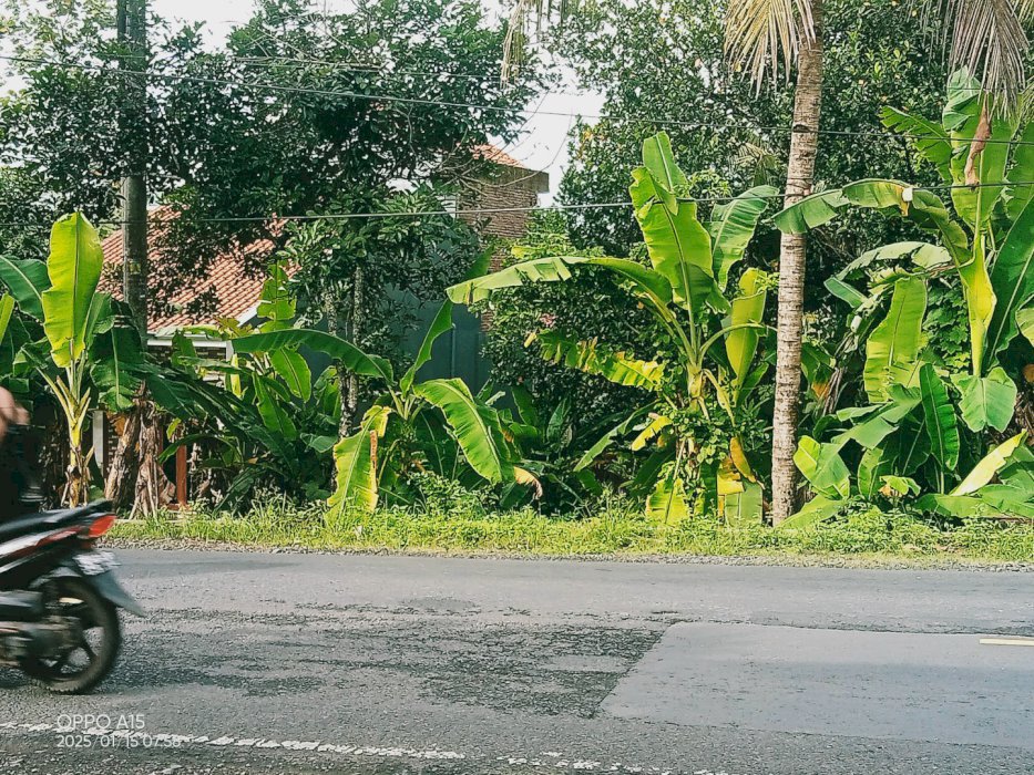 Jual  tanah pinggir jalan raya
