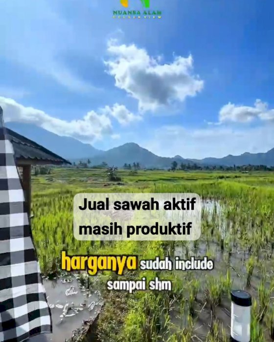 Jual tanah sawah aktif masih produktif 520rb/m sudah shm