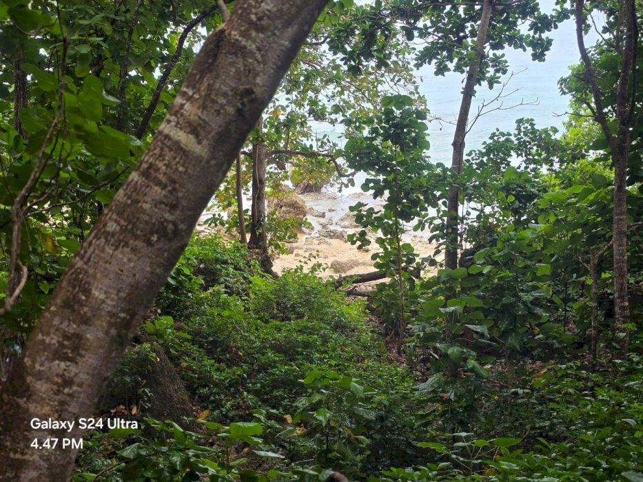 Di Jual Tanah Lokasi Dekat Pantai Di Desa Bali Loku Sumba Barat