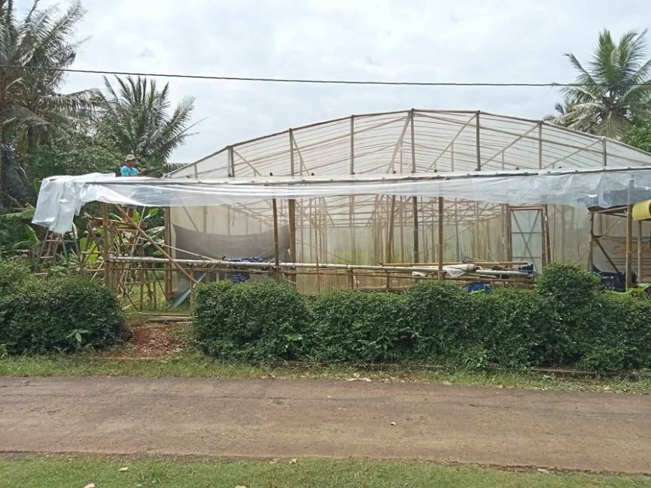 Investasi Green House, Cuan berlimpah