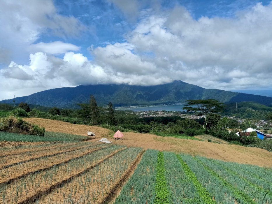 Di Jual Tanah Lokasi Strategis Di Bedugul Tabanan Bali