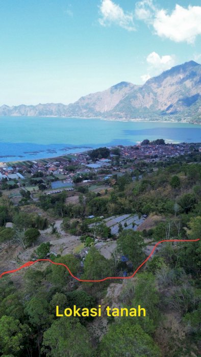 Jual Tanah Kavling Di Kintamani Bali