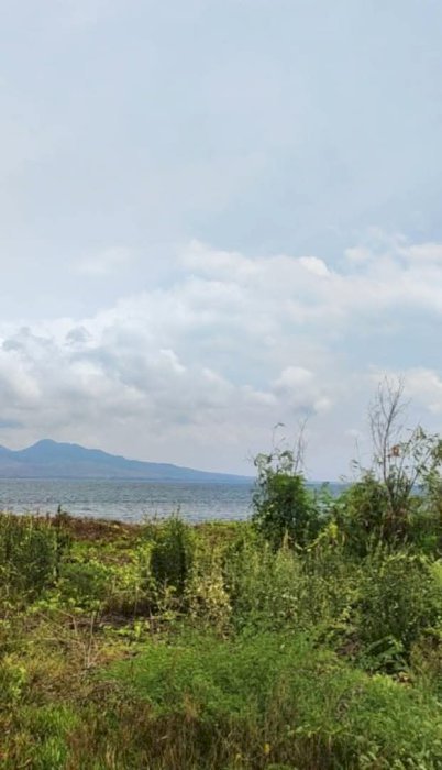 Di Jual Tanah Premium Los Pantai Di Sukowidi Banyuwangi