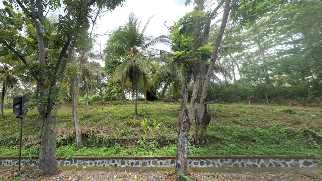 Di Jual Tanah Di Jalan Utama Singaraja Denpasar