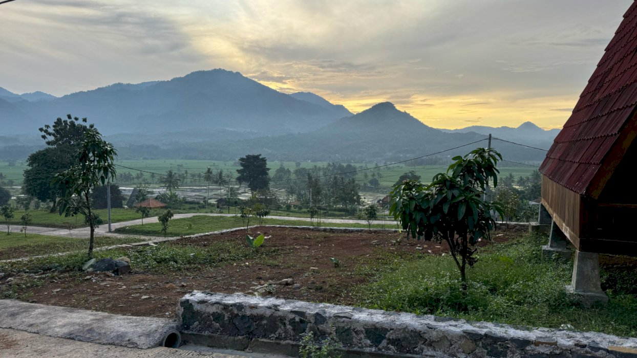 Asli ini tanah pinggir jalan cuma 710 rb murah kebangetan dibogor